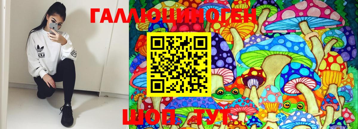 Галлюциногенные грибы мухоморы Шахты