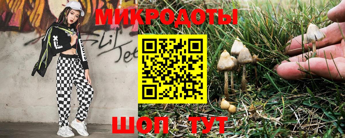 Шахты  Псилоцибиновые грибы мухоморы  Вход с VPN  Псилоцибиновые грибы прущие грибы 